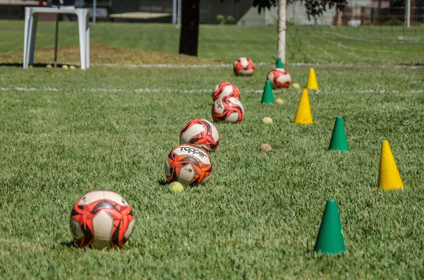 Soccer field